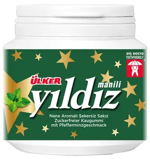 Yıldız zuckerfreies Kaugummi Minze, Dose