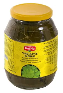 Paliria Weinblätter in Salzlake